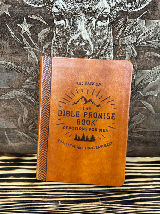 Bible promise book