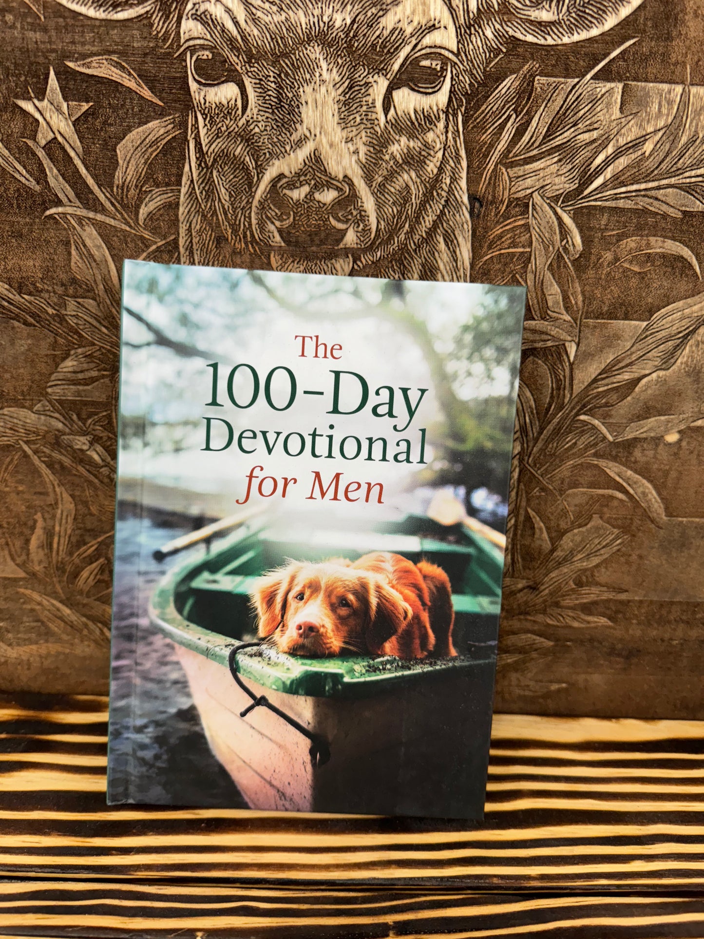 100 day devotional